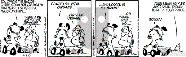 Over the Hedge on Friday July 20, 2001 Comic Strip