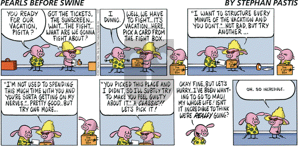 Pearls Before Swine - Sunday December 30, 2007 Comic Strip