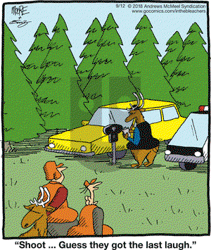 In the Bleachers on Wednesday September 12, 2018 Comic Strip