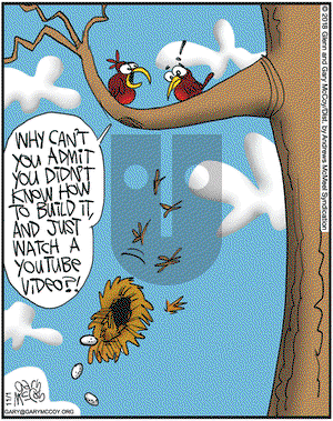 The Flying McCoys on Thursday November 1, 2018 Comic Strip