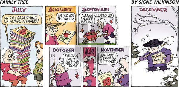 Family Tree on Sunday November 30, 2025 Comic Strip
