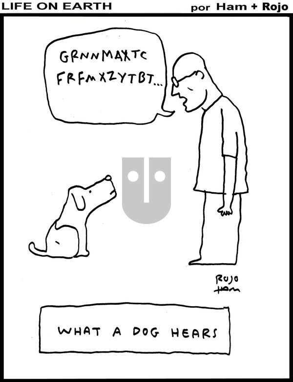 Life on Earth on Sunday December 7, 2025 Comic Strip