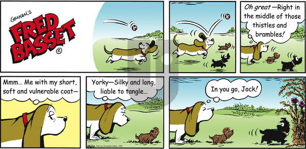 Fred Basset on Sunday April 28, 2013 Comic Strip