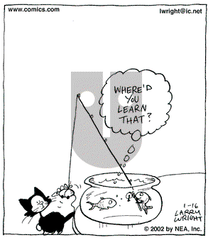 Kit 'N' Carlyle on Wednesday January 16, 2002 Comic Strip