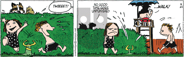 Over the Hedge on Wednesday June 25, 2008 Comic Strip