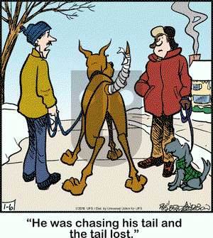 Marmaduke on Wednesday January 6, 2016 Comic Strip