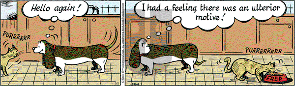Fred Basset on Friday March 5, 2021 Comic Strip