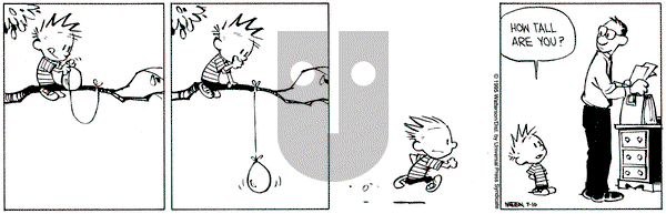 Calvin and Hobbes on Monday July 10, 1995 Comic Strip