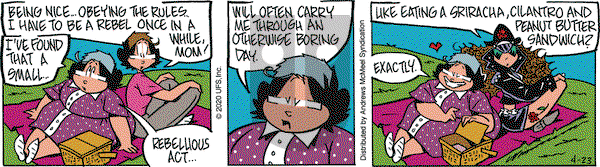 Rose is Rose on Thursday April 23, 2020 Comic Strip