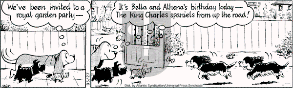 Fred Basset on Tuesday May 27, 2008 Comic Strip