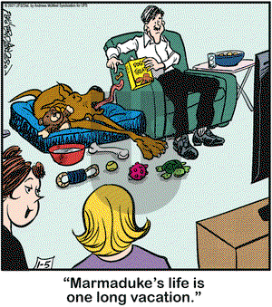 Marmaduke on Tuesday January 5, 2021 Comic Strip