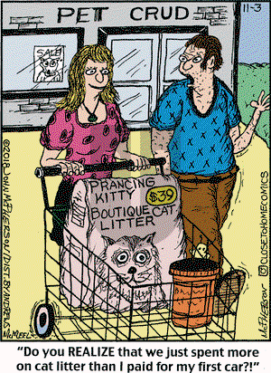 Close to Home on Saturday November 3, 2018 Comic Strip