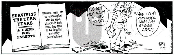 Luann on Saturday October 28, 1995 Comic Strip