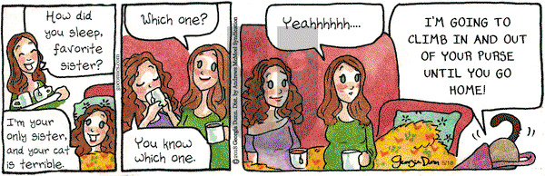 Breaking Cat News - Thursday May 18, 2023 Comic Strip