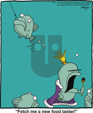 In the Bleachers on 2025-07-05 Comic Strip