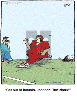 In the Bleachers - Friday October 12, 2007 Comic Strip