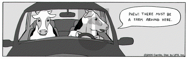 F Minus on Saturday July 30, 2005 Comic Strip