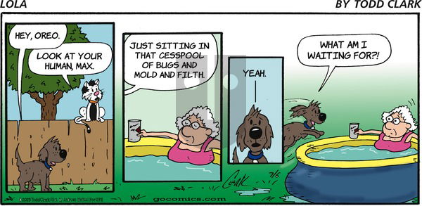 Lola on Sunday July 6, 2025 Comic Strip