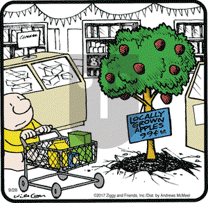 Ziggy on Thursday September 28, 2017 Comic Strip