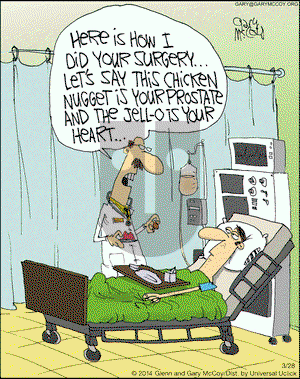 The Flying McCoys on Friday March 28, 2014 Comic Strip