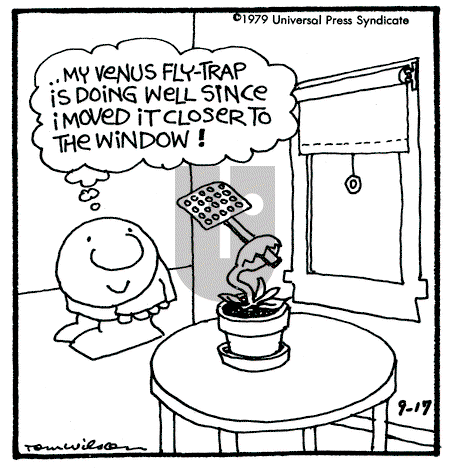 Ziggy - Monday September 17, 1979 Comic Strip