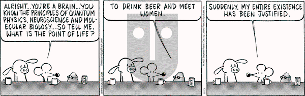 Pearls Before Swine on Tuesday November 13, 2007 Comic Strip