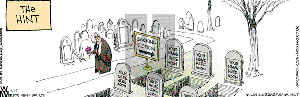 Non Sequitur - Wednesday February 7, 2018 Comic Strip