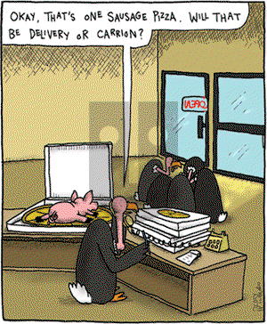 The Argyle Sweater on Friday November 23, 2007 Comic Strip