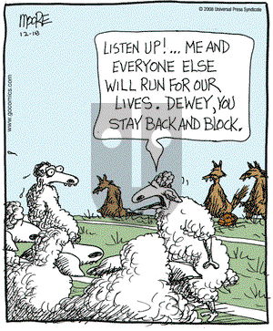 In the Bleachers on Thursday December 18, 2008 Comic Strip