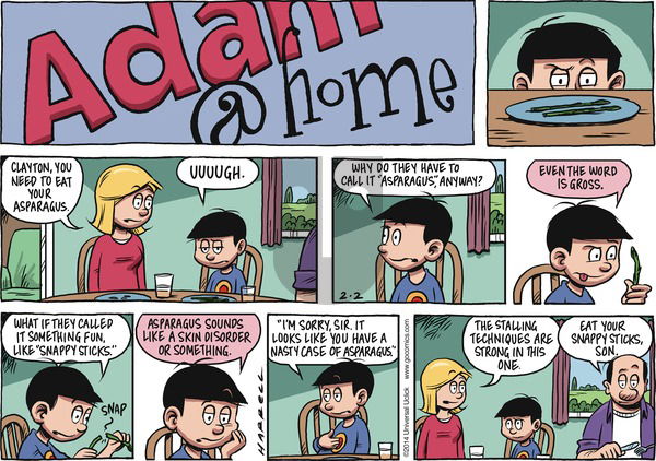 Adam@Home on Sunday February 2, 2014 Comic Strip