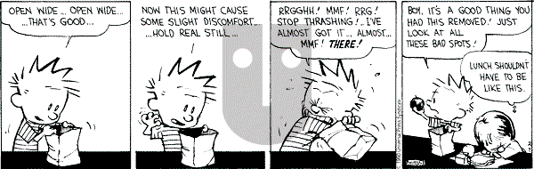 Calvin and Hobbes - Tuesday October 30, 1990 Comic Strip