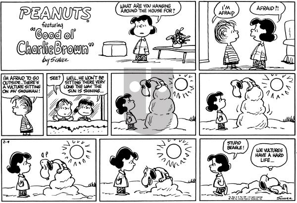 Peanuts on Sunday February 4, 1968 Comic Strip