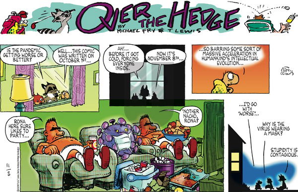 Over the Hedge on Sunday November 8, 2020 Comic Strip