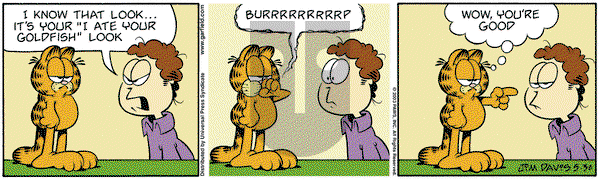 Garfield on Friday May 30, 2003 Comic Strip