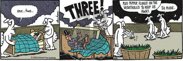 Overboard on Thursday June 4, 2009 Comic Strip