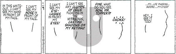 Over the Hedge on Wednesday January 9, 2013 Comic Strip