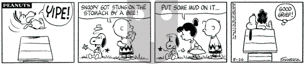 Peanuts on Wednesday August 26, 1964 Comic Strip