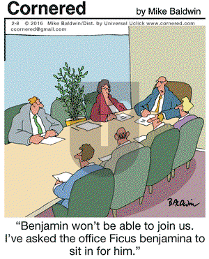Cornered on Monday February 8, 2016 Comic Strip