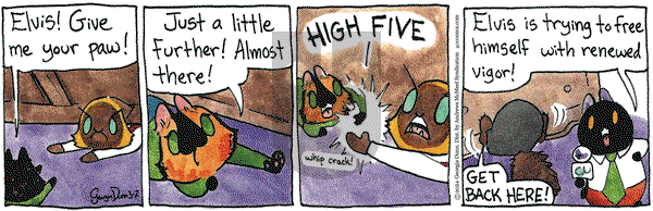 Breaking Cat News - Saturday March 2, 2024 Comic Strip