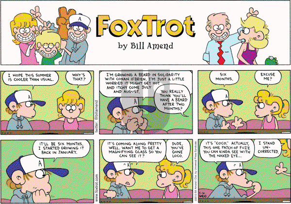 FoxTrot on Sunday May 30, 2010 Comic Strip
