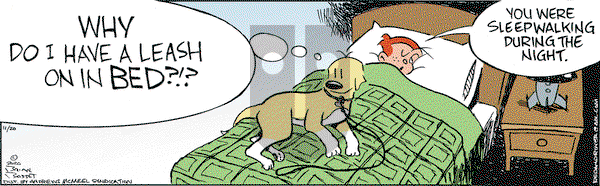 Red and Rover on Friday November 20, 2020 Comic Strip