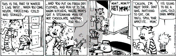 Calvin and Hobbes - Friday January 5, 1990 Comic Strip