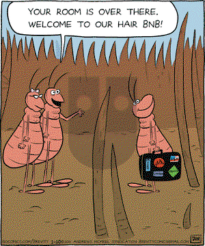 Brevity on Wednesday January 10, 2018 Comic Strip