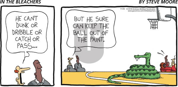 In the Bleachers on Sunday November 25, 2018 Comic Strip