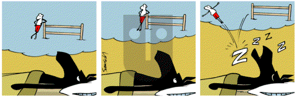Dark Side of the Horse on Wednesday February 5, 2020 Comic Strip