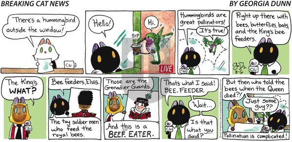 Breaking Cat News - Sunday August 6, 2023 Comic Strip