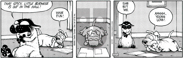 Get Fuzzy on Saturday December 22, 2001 Comic Strip