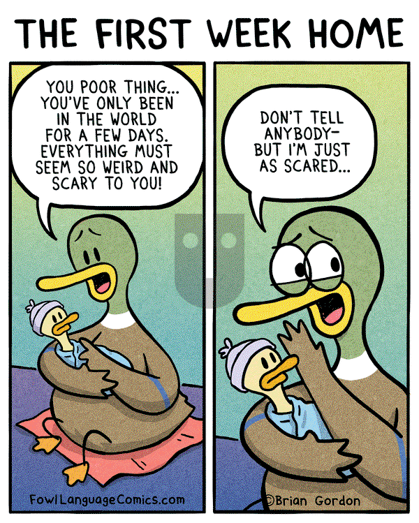 Fowl Language on Thursday December 21, 2017 Comic Strip