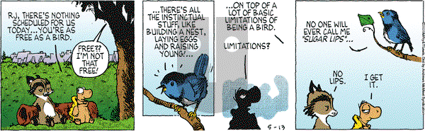 Over the Hedge on Tuesday May 13, 2025 Comic Strip
