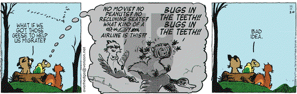 Over the Hedge on Thursday November 20, 2008 Comic Strip